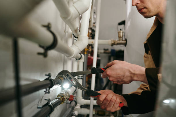 Best Local Plumber Services  in Wheeling, WV
